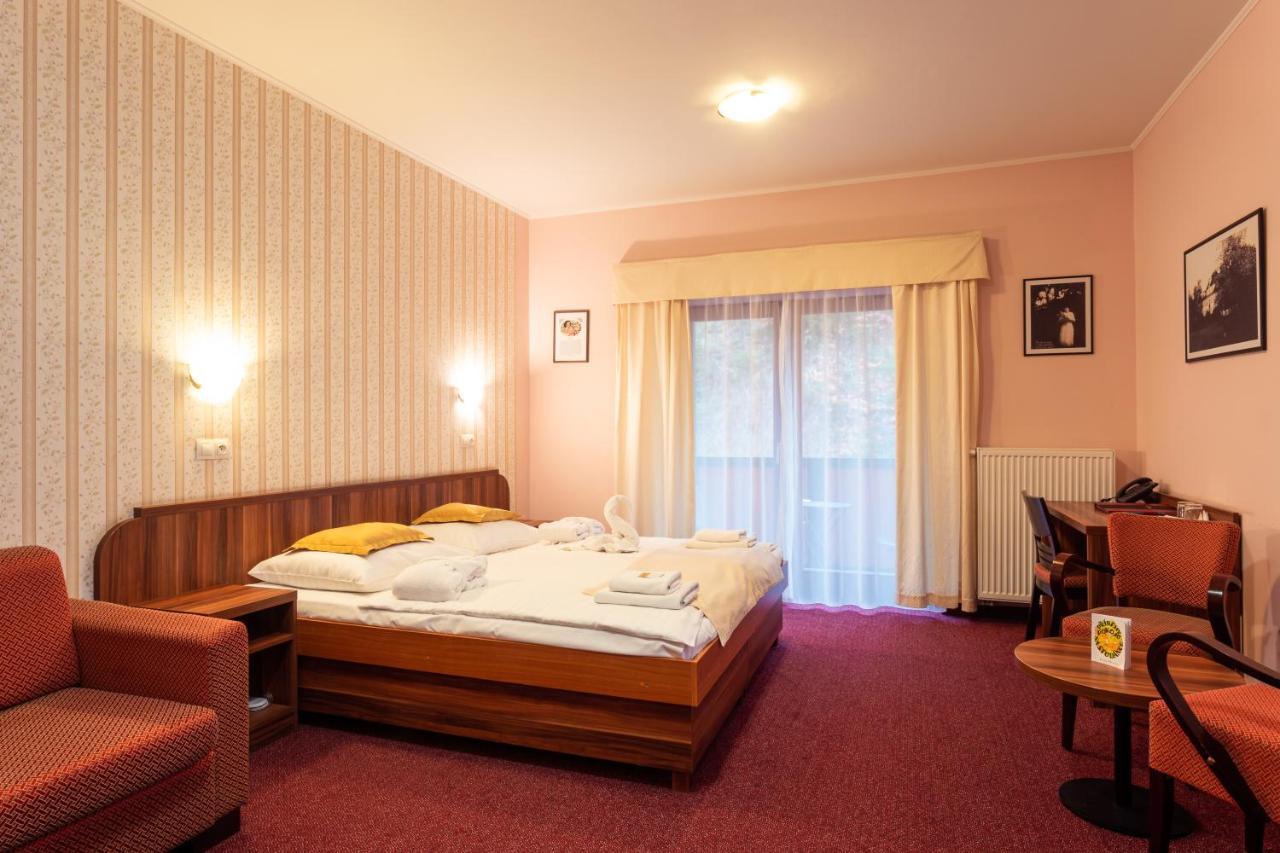 Hotel Studanka Rychnov nad Kneznou Εξωτερικό φωτογραφία